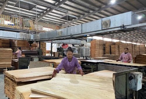 廣西象州三江口森林工業城多家木業家具企業開工復產