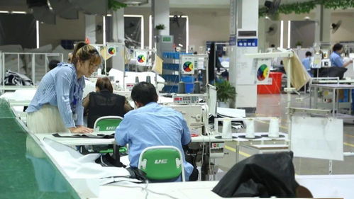 厲害了 湖州新增一中國馳名商標